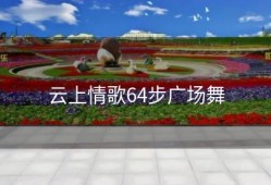 云上情歌64步广场舞