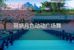 荷塘月色动动广场舞