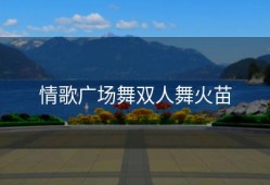 情歌广场舞双人舞火苗