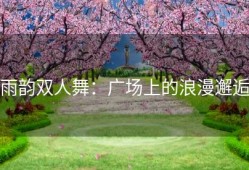 雨韵双人舞：广场上的浪漫邂逅