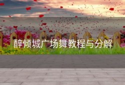 醉倾城广场舞教程与分解