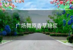 广场舞原香草糖浆