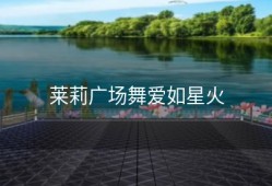 莱莉广场舞爱如星火