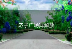 応子广场舞解放