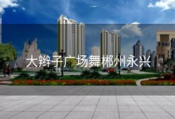 大辫子广场舞郴州永兴