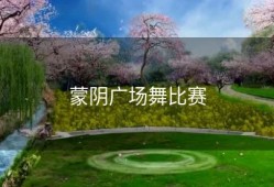 蒙阴广场舞比赛