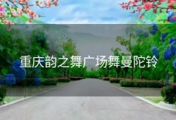 重庆韵之舞广场舞曼陀铃