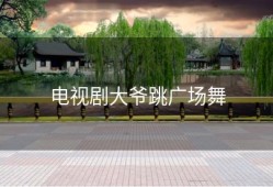 电视剧大爷跳广场舞