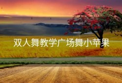双人舞教学广场舞小苹果
