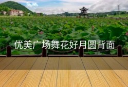 优美广场舞花好月圆背面