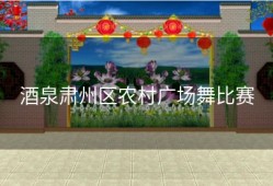 酒泉肃州区农村广场舞比赛