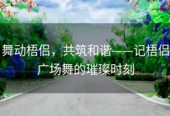 舞动梧侣，共筑和谐——记梧侣广场舞的璀璨时刻