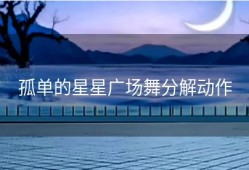 孤单的星星广场舞分解动作