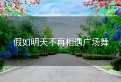 假如明天不再相遇广场舞