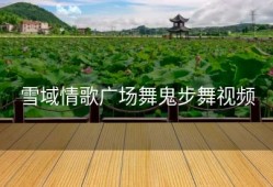 雪域情歌广场舞鬼步舞视频