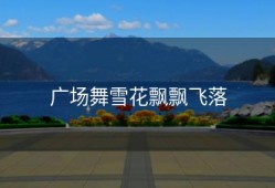 广场舞雪花飘飘飞落