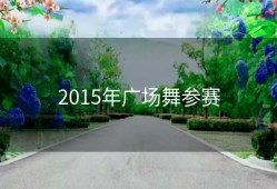 2015年广场舞参赛