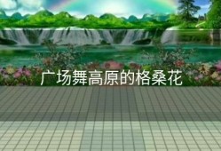 广场舞高原的格桑花