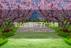 雪山姑娘叶子广场舞