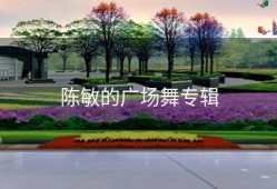 陈敏的广场舞专辑