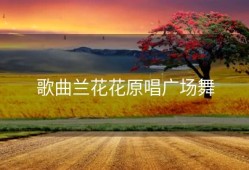 歌曲兰花花原唱广场舞
