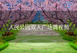 人民公园双人广场舞视频