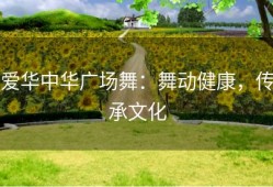 爱华中华广场舞：舞动健康，传承文化