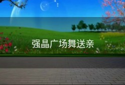 强晶广场舞送亲