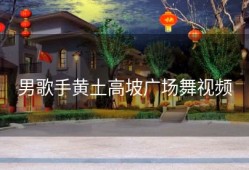 男歌手黄土高坡广场舞视频