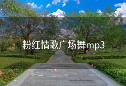 粉红情歌广场舞mp3