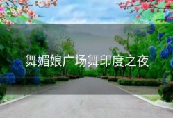 舞媚娘广场舞印度之夜