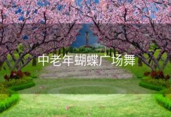 中老年蝴蝶广场舞
