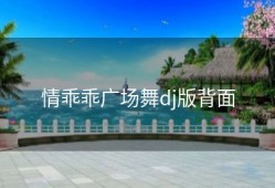情乖乖广场舞dj版背面