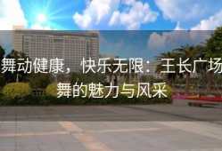 舞动健康，快乐无限：王长广场舞的魅力与风采