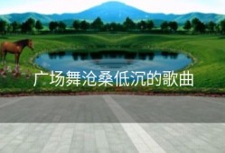 广场舞沧桑低沉的歌曲