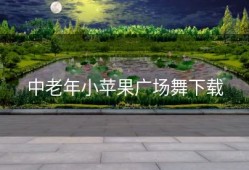 中老年小苹果广场舞下载