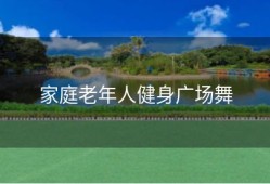 家庭老年人健身广场舞