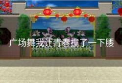 广场舞我让青春撞了一下腰