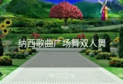 纳西歌曲广场舞双人舞