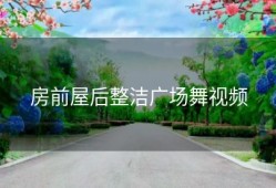 房前屋后整洁广场舞视频