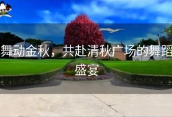 舞动金秋，共赴清秋广场的舞蹈盛宴