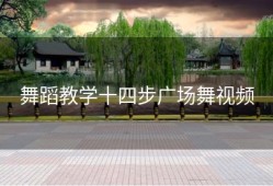 舞蹈教学十四步广场舞视频