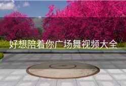 好想陪着你广场舞视频大全