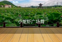 小龙虾广场舞