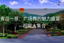 青岛一景：广场舞的魅力盛宴——视频大集合