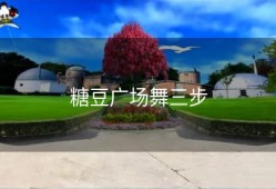 糖豆广场舞三步