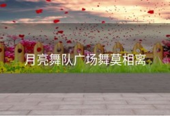 月亮舞队广场舞莫相离