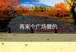 再来个广场舞的