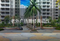 老外广场舞经典动作