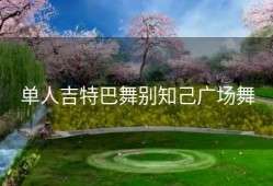 单人吉特巴舞别知己广场舞